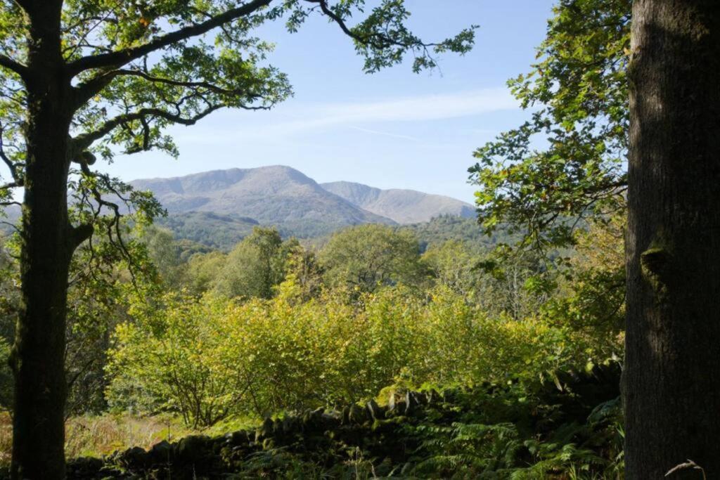 Apartamento Pippins 7 Neaum Crag Ambleside Exterior foto